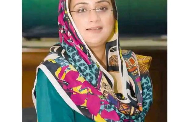 علی امین گنڈاپور کو سیاسی لوگوں سے ہی بات کرنا ہوگی، وزیراطلاعات پنجاب